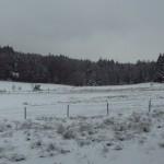 Odenwald Schnee 1/2013