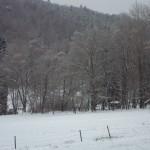 Odenwald Schnee 1/2013