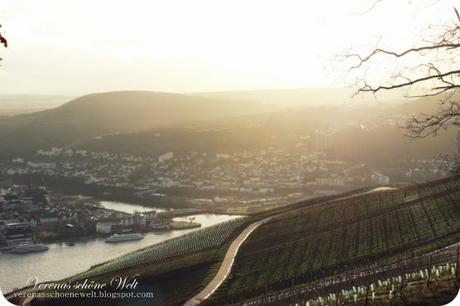 Wordless Wednesday: The Rhine River...