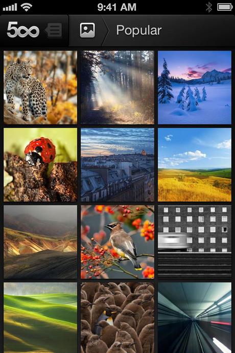 500px App nach kurzer Abstinenz wieder kostenlos im App Store verfügbar