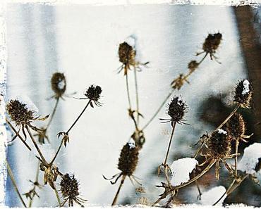 Es geht schon wieder los