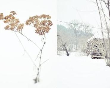 Nach dem Schnee....