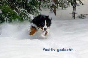 Positiv gedacht im Winter