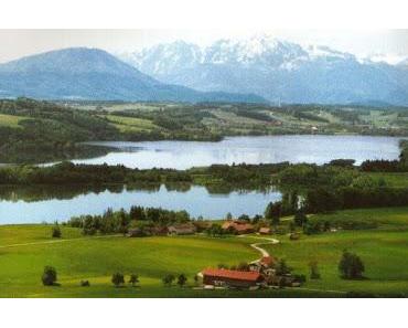 Wie entscheidest Du Dich???