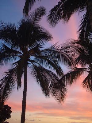 ein wenig Sonne für die Seele; kleiner Hawaii Rückblick