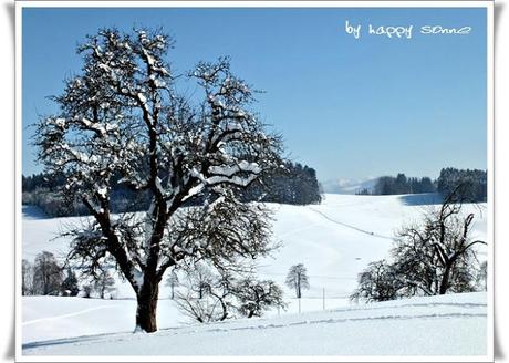 Winter wonderland....