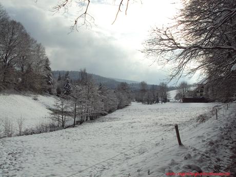 Winterfreuden Odenwald