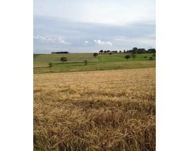 Valentinstag - so wünsche ich ihn mir