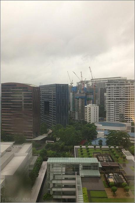Sheraton Singapore Hotels and Towers - personal review