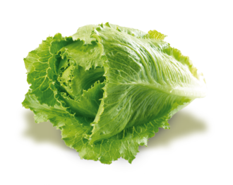Produkttest: Salate von BEHR AG Gemüsegarten