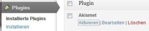 Akismet Anti Spam WordPress Plugin