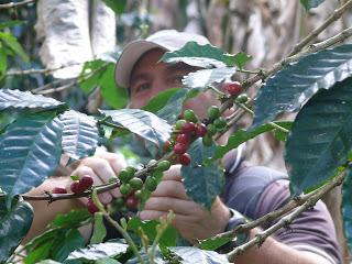 travel-to-nature Kaffee - die nachhaltige Alternative für den Kaffeegenuss