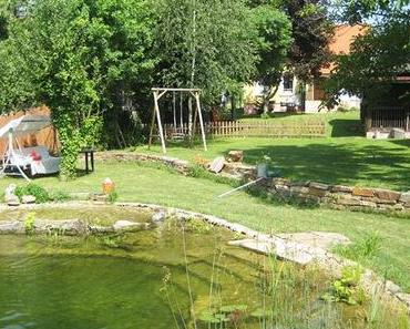 Die Sache mit den Stacheln