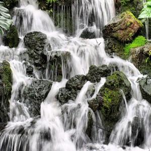 Instagram Singapore - romantic place - Waterfalls at the Botanical Gardens in Singapore
