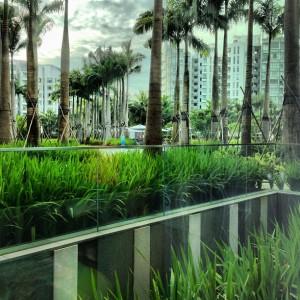 Garden of the W-Hotel Sentosa Cove Singapore - taken from Kitchen restaurant 
