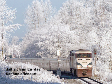 Prosit Neujahr - und bedenke, was du mit dem Herzen nicht...