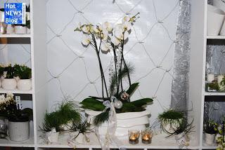 Adventsausstellung bei Rosen Waibel Mäder