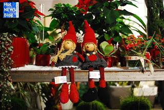 Adventsausstellung bei Rosen Waibel Mäder