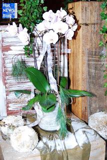 Adventsausstellung bei Rosen Waibel Mäder