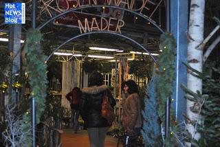 Adventsausstellung bei Rosen Waibel Mäder