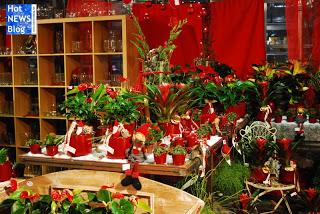 Adventsausstellung bei Rosen Waibel Mäder