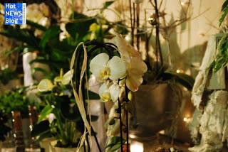 Adventsausstellung bei Rosen Waibel Mäder