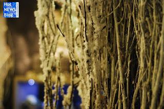 Adventsausstellung bei Rosen Waibel Mäder