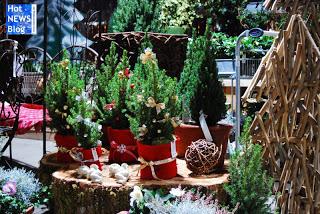 Adventsausstellung bei Rosen Waibel Mäder