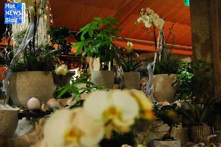 Adventsausstellung bei Rosen Waibel Mäder