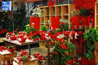 Adventsausstellung bei Rosen Waibel Mäder