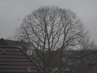 Shades of Whey: Pink (Tutorial)