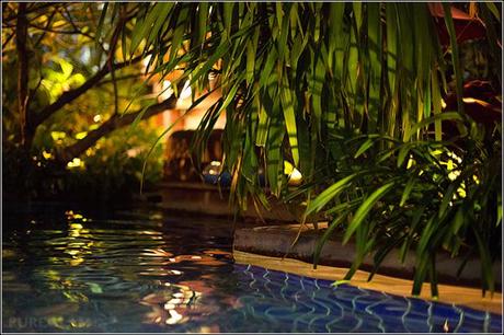 Sheraton Grande Sukhumvit Bangkok - Review - Jungle Pool