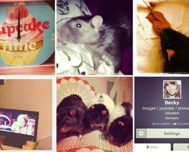 InstaWeek "Don't surrender"