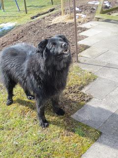 Schöne Aussichten!!!