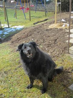 Schöne Aussichten!!!