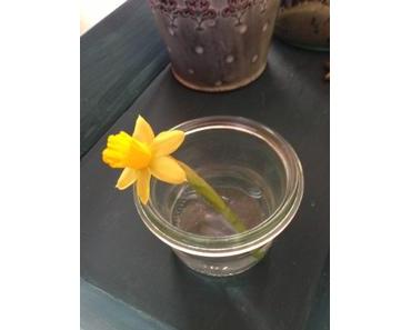 Happy Valentines Day ♥