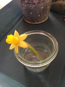 Happy Valentines Day ♥