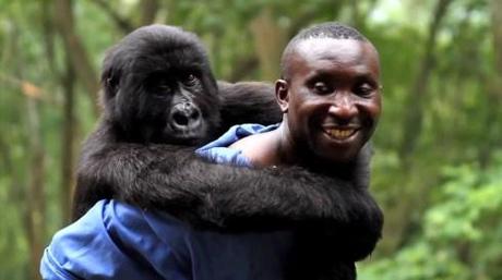 Virunga Promo Screenshot