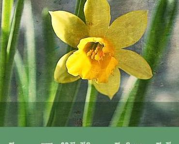 Lieber Frühling ...