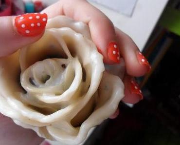 [NOTD] When you stop chasing the wrong things, you give the right things a chance to catch you