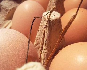 Wenn das nicht Bio ist, dann weiß ich ja auch net...