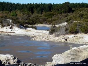 Was für ein Gestank – geothermales Gebiet rund um Rotorua