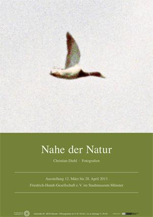 Ausstellung im Stadtmuseum Münster: Nahe der Natur - Fotografien von Christian Diehl
