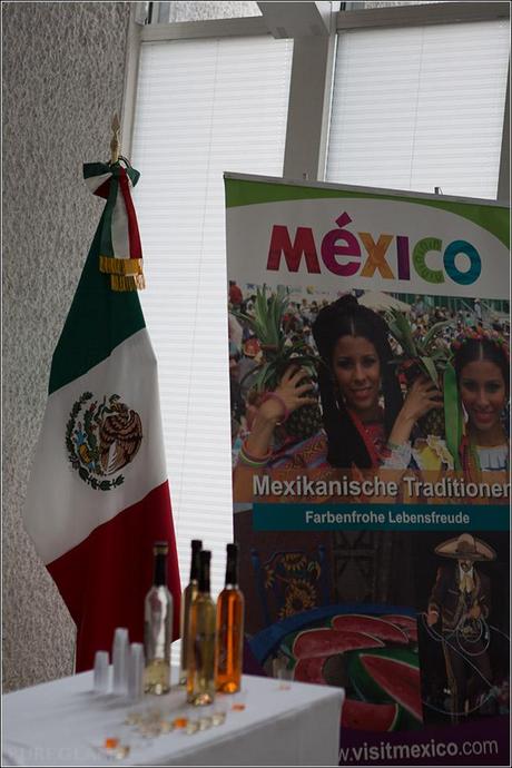 Mexican flag with Mexico information and a little 