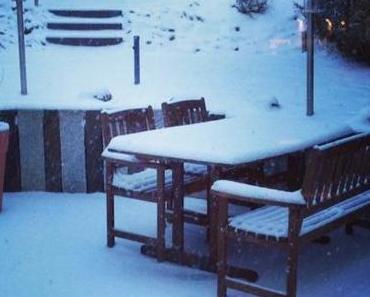 12 von 12 – März 2013