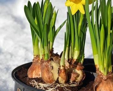 Beauty is where you find it