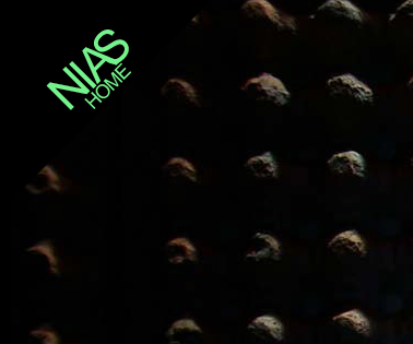 NIAS - Eine Band, kurz vor dem Durchbruch