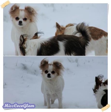 Tila, Coco & Minnie im Schnee *-*