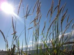 Ein mobiler Zweitwohnsitz