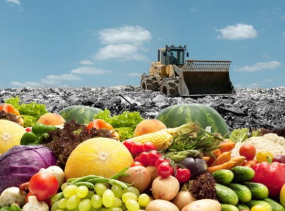 Europäer werfen im Jahr 90 Millionen Tonnen Essen auf den Müll!